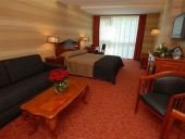 debrecen-hotel-divinus-1